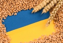 «Зернова» криза: Польща та Україна домовилися знайти компроміс