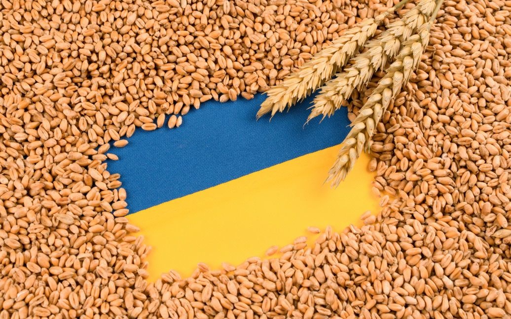 «Зернова» криза: Польща та Україна домовилися знайти компроміс