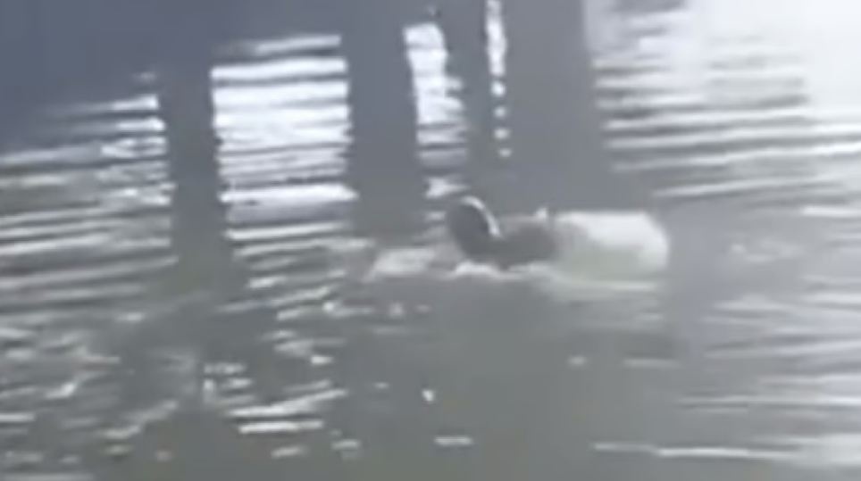 «Так ще ніхто не з**бувався»: на Хмельниччині чоловік стрибнув у річку, втікаючи від військкомів
