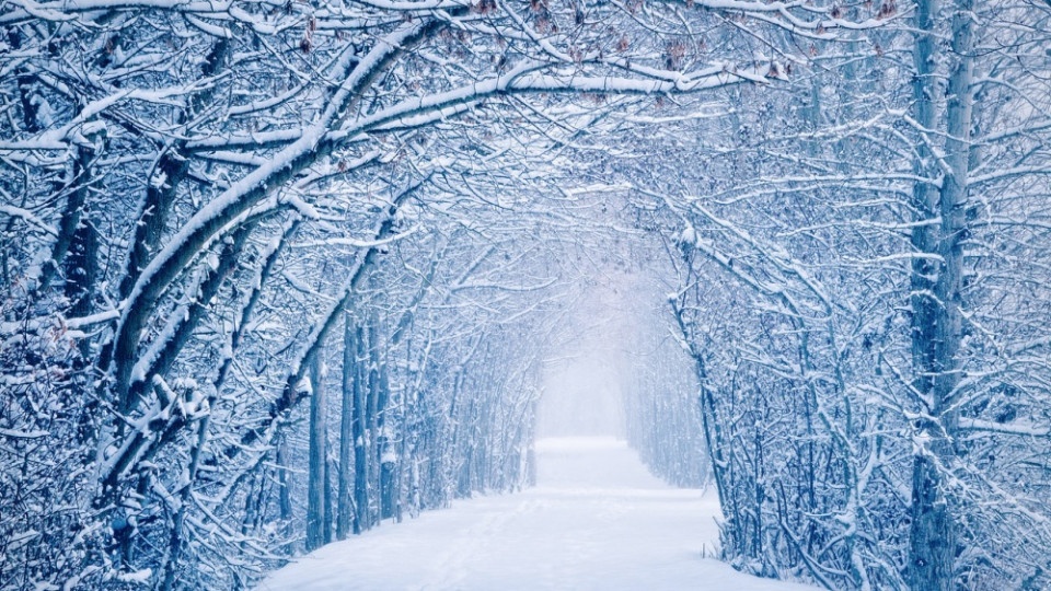 Де в Україні випаде сніг на Новий рік