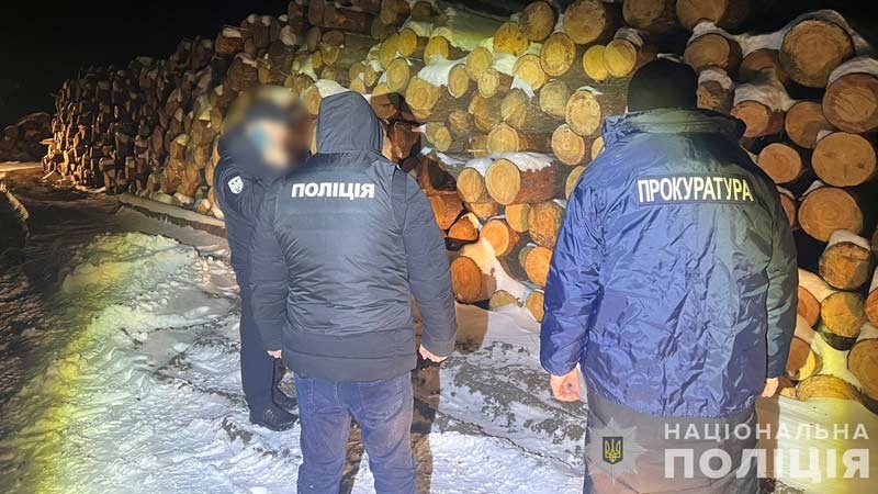 Поліцейські на Волині викрили злочинну групу «чорних» лісорубів: розкрадали ліс у великих масштабах