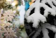 Якою буде погода на Новий рік та Різдво: синоптики розповіли, чи буде сніг