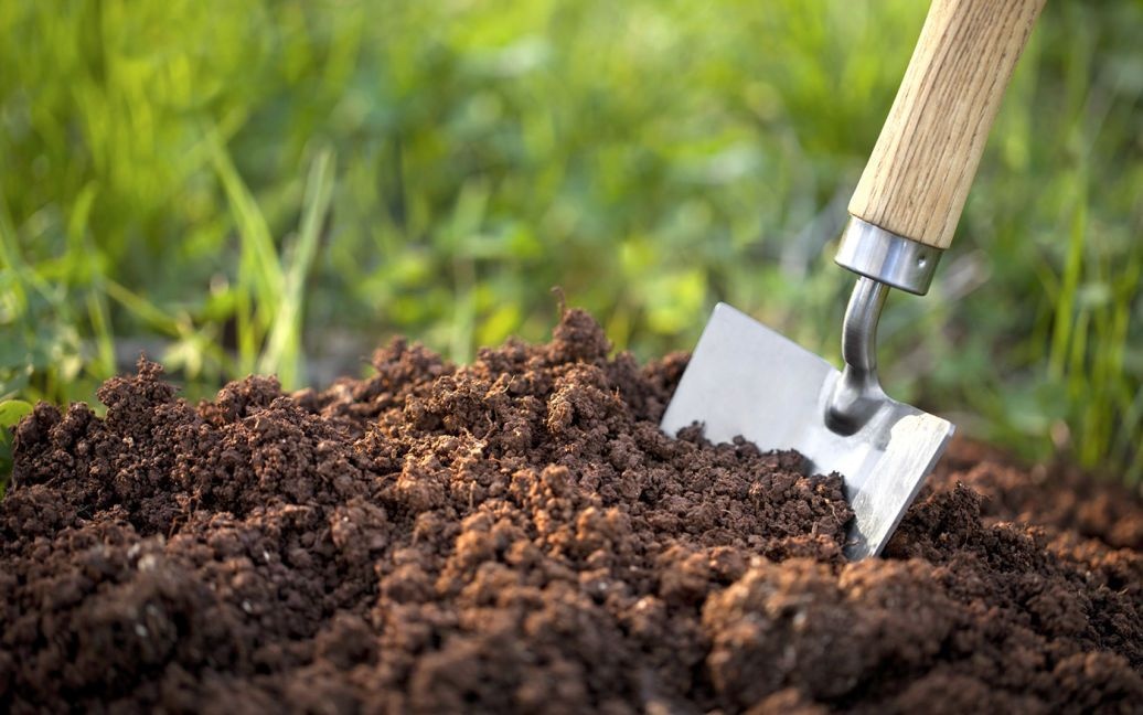 Чим удобрити ґрунт на городі навесні