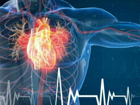 Як зберегти здоровʼя серцево-судинної системи: поради від лікаря